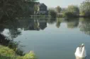 Dorfteich