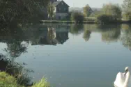 Dorfteich