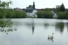 Dorfteich